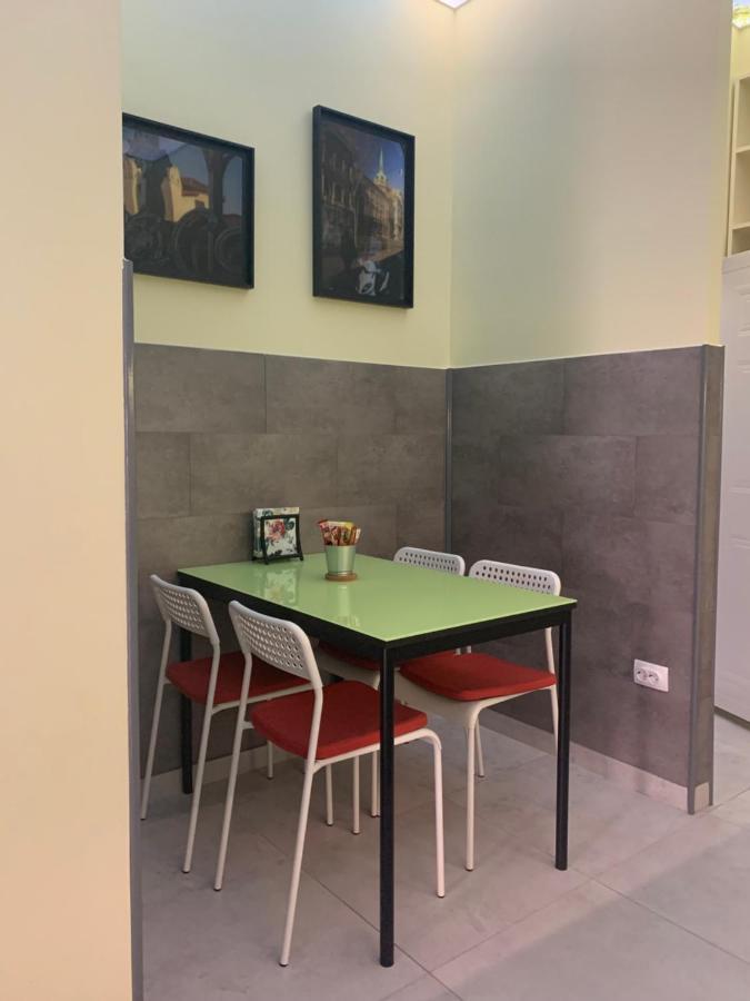 דירות בלגרד Sunlit Artist Studio מראה חיצוני תמונה